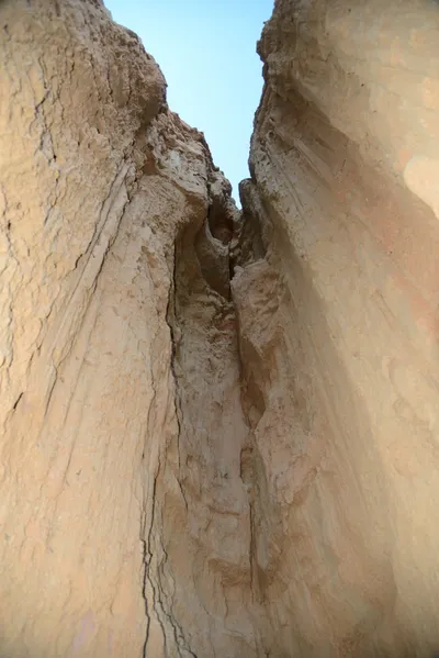 DSC_0275 (Large).JPG